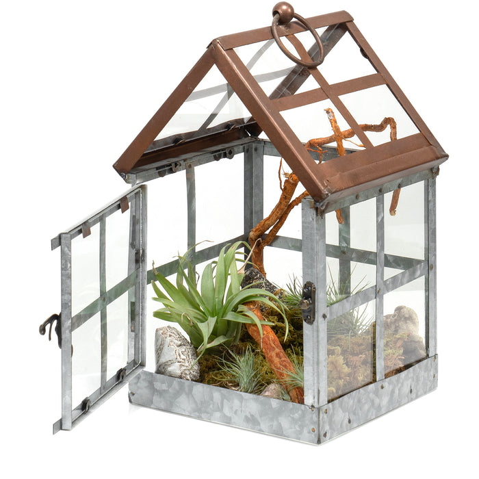 Red Co. 11” Tabletop & Hanging Metal Frame Succulent Display Terrarium Planter with Ring Handle
