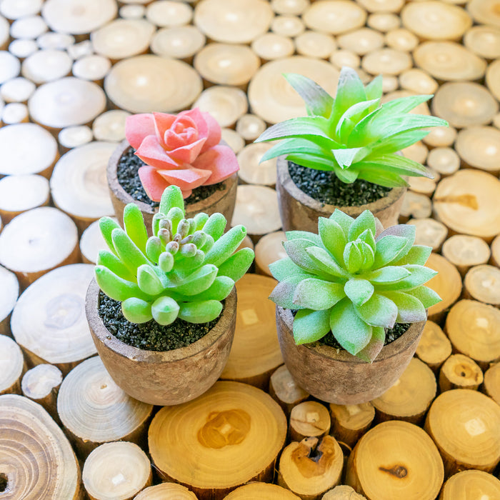 small faux succulents in pots Red Co. Set of 4 Assorted Decorative Faux Succulents — Red Co. Goods