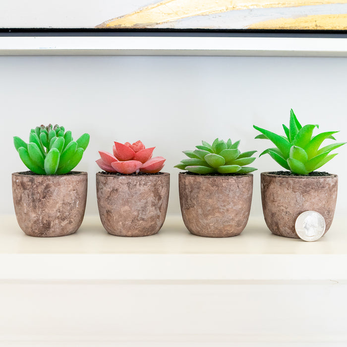 fake succulents potted Red Co. Set of 4 Assorted Decorative Faux Succulents — Red Co. Goods