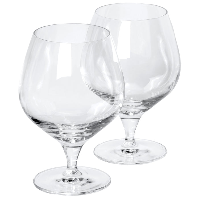 Red Co. Enoclub Premium Short Stemmed Crystal Wine Glass, Classic Beer Whiskey Goblet, 15 Ounces - Set of 2