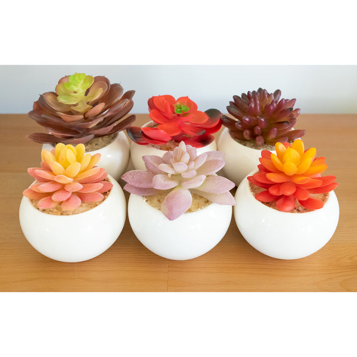 Red Co. Set of 6 Assorted Decorative Faux Succulents, Artificial Potted Plants for Home or Office, Small