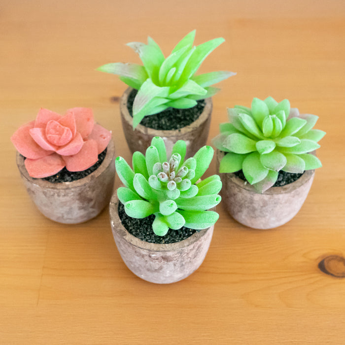 mini potted faux succulents Red Co. Set of 4 Assorted Decorative Faux Succulents — Red Co. Goods