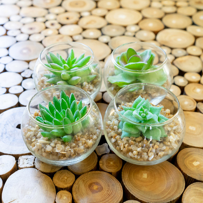 small potted artificial succulents Red Co. Set of 4 Assorted Decorative Faux Succulents, Artificial Potted Plants for Home or Office, Small