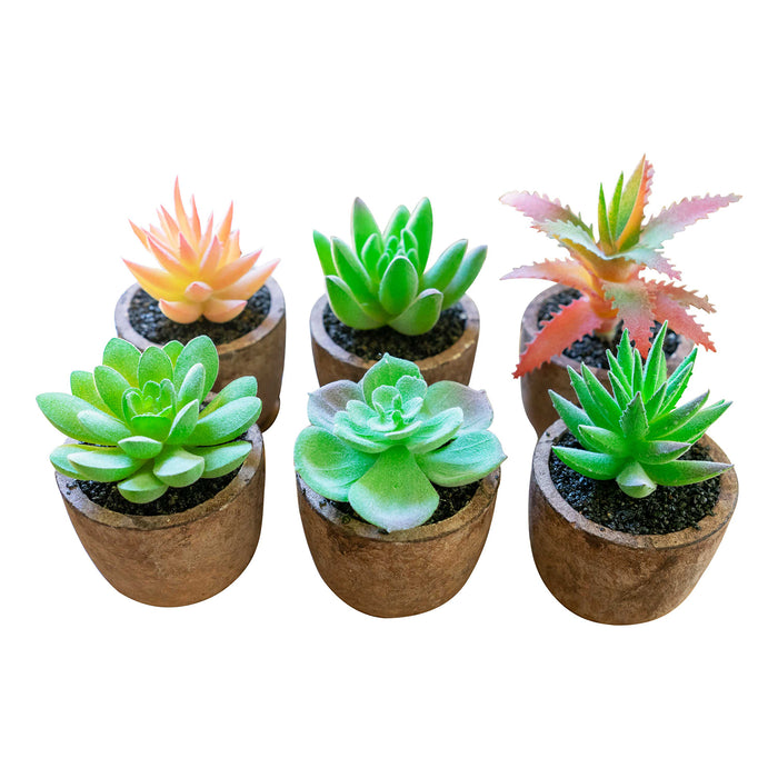 Red Co. Set of 6 Assorted Decorative Faux Succulents, Artificial Potted Plants for Home or Office, Mini