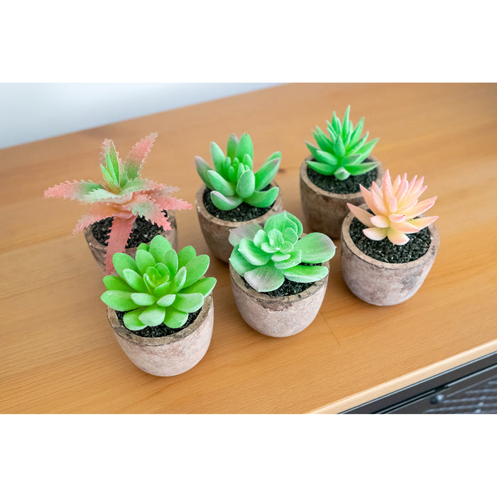 Red Co. Set of 6 Assorted Decorative Faux Succulents, Artificial Potted Plants for Home or Office, Mini
