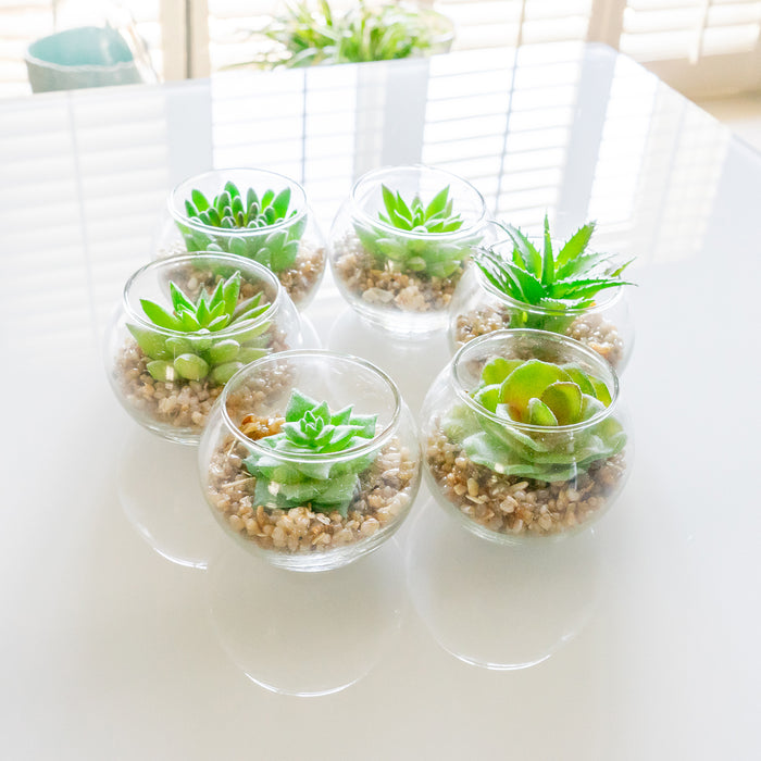 small potted faux succulents Red Co. Set of 6 Assorted Decorative Faux Succulents — Red Co. Goods