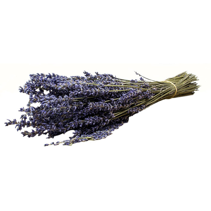 Natural Decor Premium Dried Lavender Bunch in Tissue Paper, 16 Inches