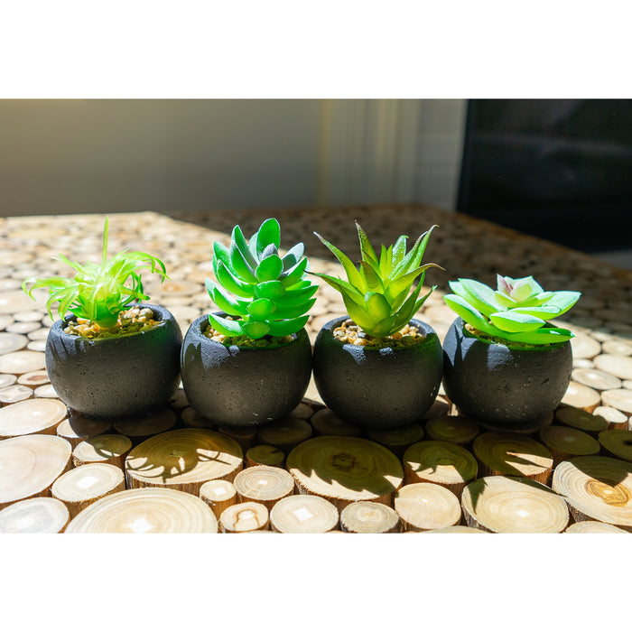 Red Co. Set of 4 Assorted Decorative Faux Succulents, Artificial Potted Plants for Home or Office, Small